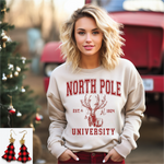 North Pole University Sand