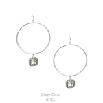 Hoop w/Glass Stone Earring